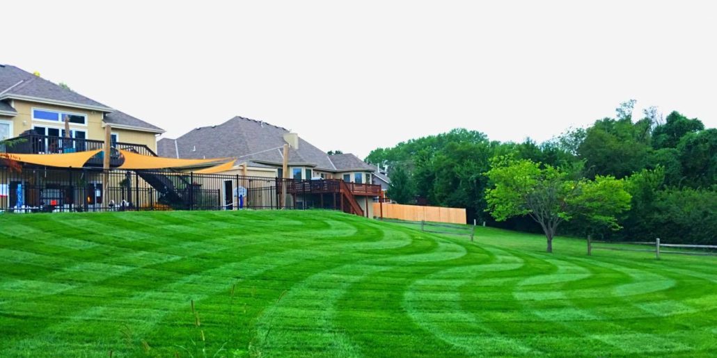 Topeka Landscape specializes in routine lawn maintenance like weed treatments, fertilization, and lawn mowing. 