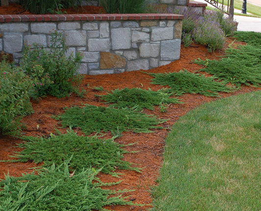 gardening ideas kansas | landscape designers auburn ks