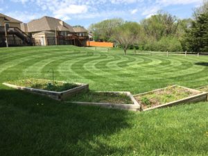 Lawn Care Services & Mowing in Topeka