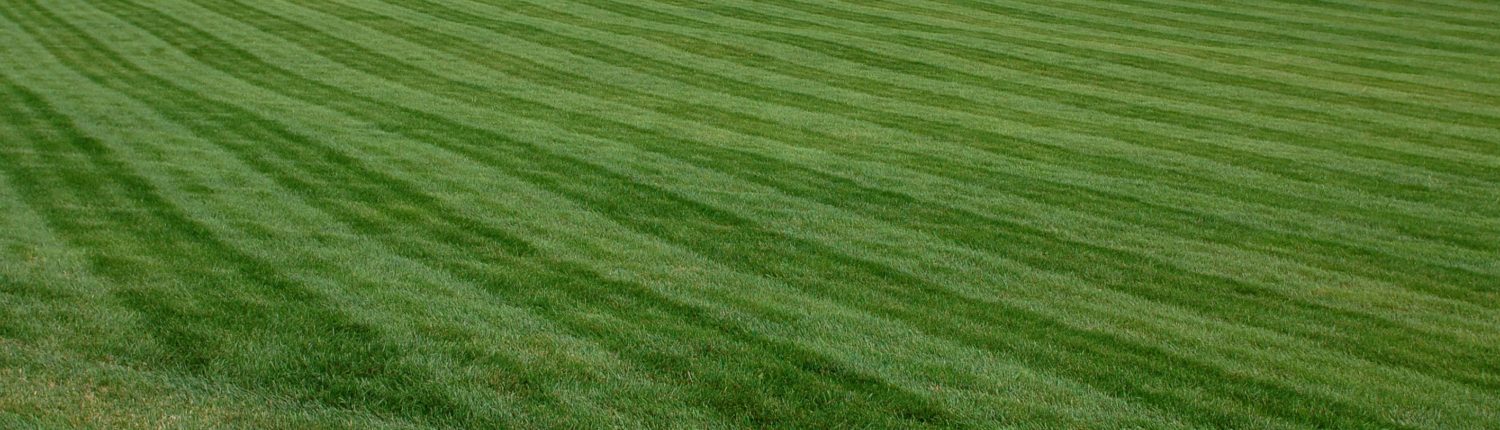 Commercial Landscaping Maintenance in Topeka, KS