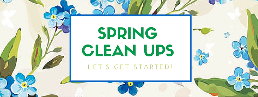 Spring Clean Up Blog