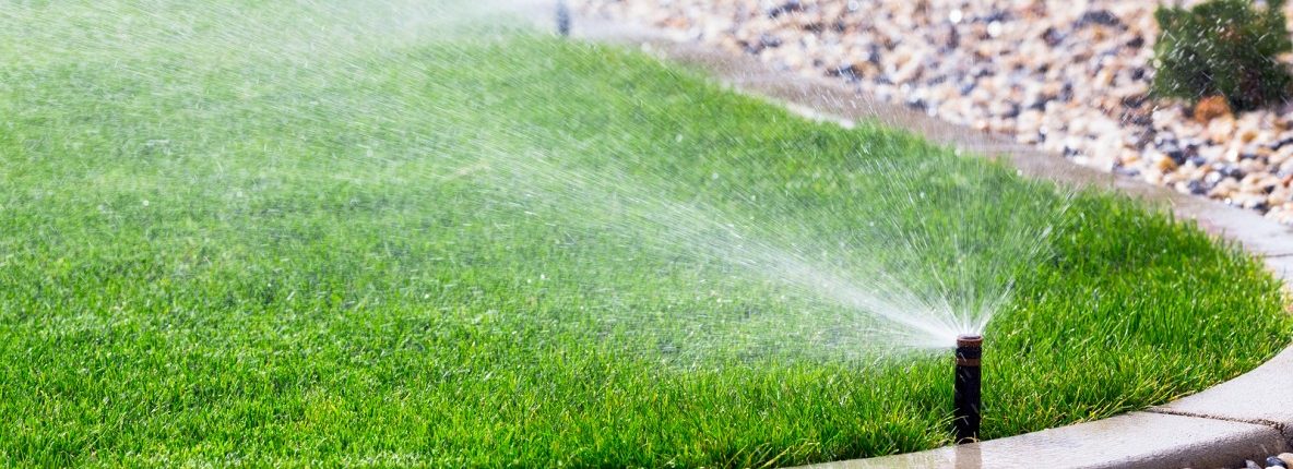 auburn lawn care and lawn maintenance with sprinkler