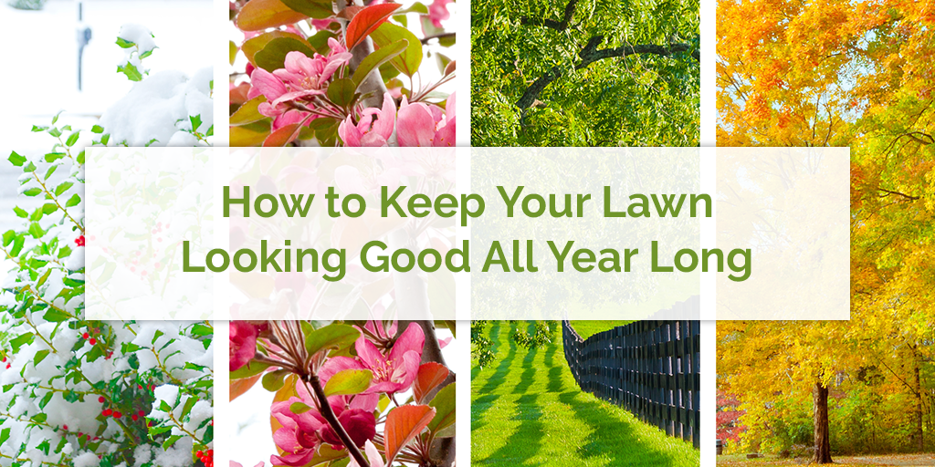 four season lawn care topeka ks