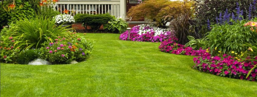 Lawn Care Services In My Area Bell Gardens thumbnail