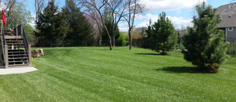 lawn mowing services north topeka ks