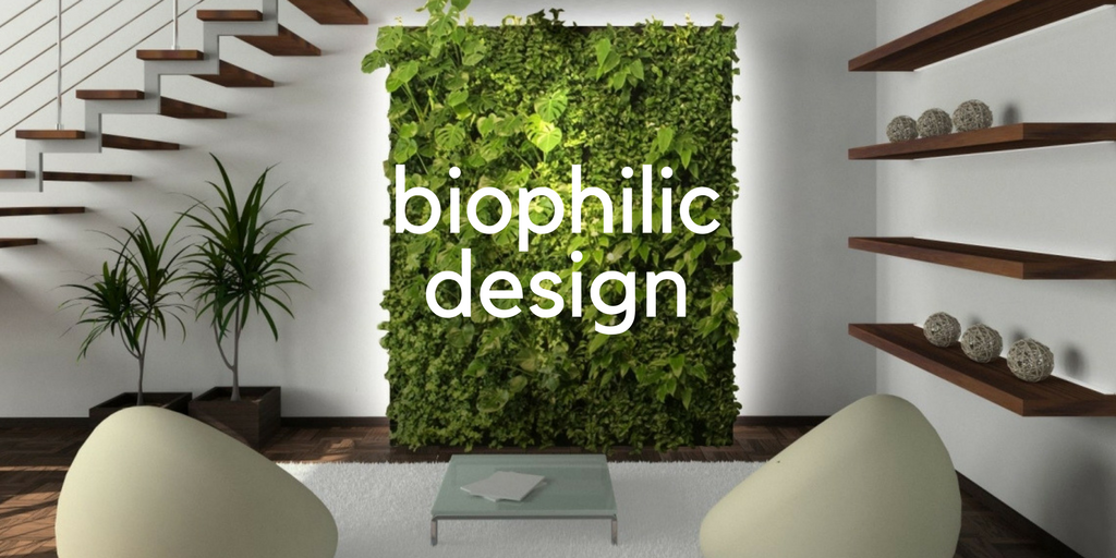 Biophilic Design Ideas For Your Kansas Home