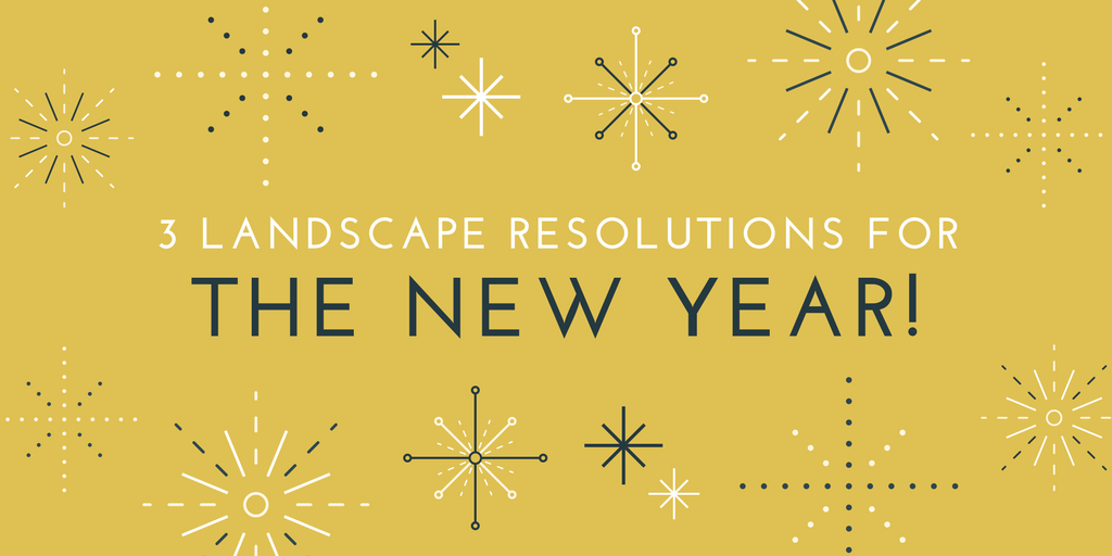 3 Kansas Lawn and Landscape Resolutions For The New Year
