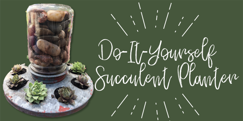 This adorable DIY succulent planter is easy to make and something you can do this weekend!