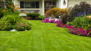 Lawn Care Services in Topeka, KS