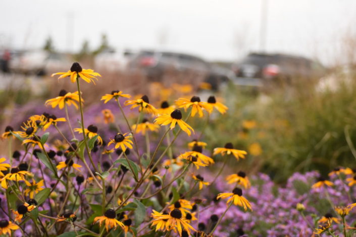 DSC_1064-1030×687